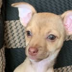 Luna Camacho - @lunacamacho123 - Instagram
