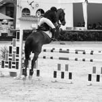 Luna Camacho - @lcshowjumping - Instagram