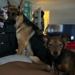 Luna B. Cantrell - @lunandporkchop - Instagram