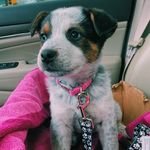 luna cantrell - @lulutheblue_ - Instagram