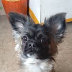 Luna Chang - @miralunachang - Instagram