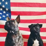 Luna & Charles - @charlesandluna - Instagram