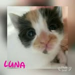luna chavez - @luna_chavez_2017 - Instagram