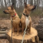 Luna & Clark - @lunaandclark - Instagram