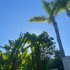 luna_clark - @luna_clark3 - TikTok