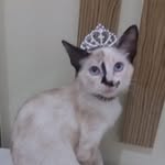 🌙🐾Luna Clark❣️ - @lunaclark - Instagram