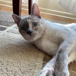 Luna Clements - @lunatuna_crazy - Instagram