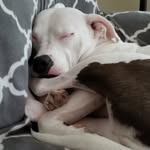 Luna Conley - @minituneadventures - Instagram