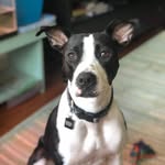 Luna Conley - @luna_ofthechi - Instagram