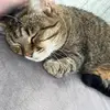 coco - @connerluna_ - TikTok