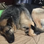 Conner_Luna_Jax - @conner_luna_jax - Instagram