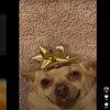 connerluna0 - @connerluna0 - TikTok