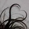 Luna O'conner - @luna.oconner - TikTok
