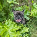 luna🦴🐾💞 - @luna.connordouglas - Instagram