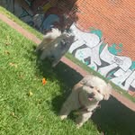 luna y connor y muñeca - @lunaconnorymuneca - Instagram