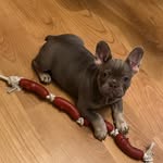 Luna Cooper - @luna_cooper24 - Instagram