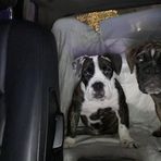 Luna Cooper - Facebook