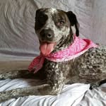 Luna Cooper - @lunacooperoffical - Instagram