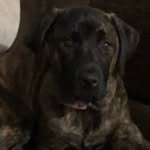 Luna Cooper - @not_so_little_luna - Instagram