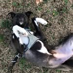 Luna Cooper - @luna_cooper__ - Instagram