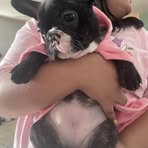 Luna Cross - Facebook