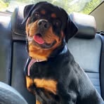 Luna Cunningham - Facebook