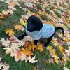 Luna🌙Daisy🌼 - @lunadaisydog - TikTok
