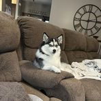 Luna Davidson - Facebook