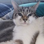 Luna Davidson - Facebook