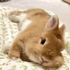 🥰LUNA JUÁREZ 😘 - @luna.de.antoni - TikTok