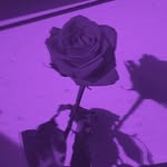 ✨𝑳𝒖𝒏𝒂 𝑫𝒆𝒄𝒌𝒆𝒓✨ - @fearxluna - Instagram