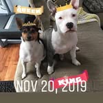 Luna And broly - @lunadecker01 - Instagram