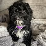 Luna Edwards - @lunaedwards2021 - Instagram