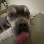 Luna Edwards - @lunaeclipse23_ - Instagram