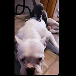 Luna_Escobar_Revoada - @luna_escobar_revoada - Instagram