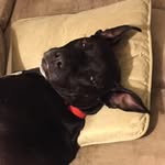 Luna Bell - @luna_bell_estes - Instagram