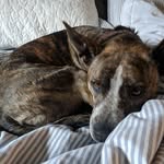 luna estes - @crazy_tuna_9 - Instagram