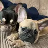 Fred & Luna Evans - @lunaevans2021 - TikTok