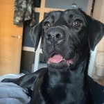 Luna Evans - @lunathelabx3 - Instagram