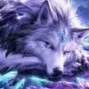 WolfLover234 - @luna.evans4 - TikTok