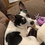 Luna Ferrell - @luna.ferrell00 - Instagram