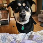 Luna Fields - Facebook