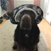 Luna_fieldspaniel_ - @luna_fieldspaniel_ - TikTok