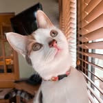 Lady Luna - @lunafitzpatrick_ - Instagram