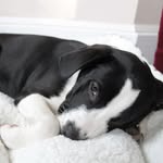 Luna Fitzpatrick - @thelabmixluna - Instagram