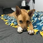 Luna Fitzpatrick - @luna_tic2023 - Instagram