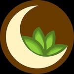 Luna Flores - @luna_floreseplantas - Instagram
