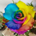 Luna Flores - Floricultura, arranjos para eventos, assinaturas - @lunaflores_sp - Instagram