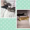 Cat models🥺🤩 - @floyde_loki_jess_luna_xx - TikTok