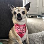 Creative Life Healing - @ford__luna - Instagram